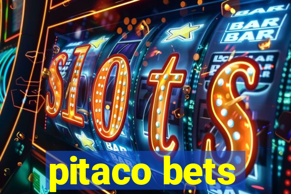 pitaco bets